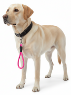 Hundekurzführer mit Handschlaufe