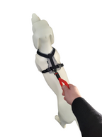 Hundekurzführer mit Handschlaufe