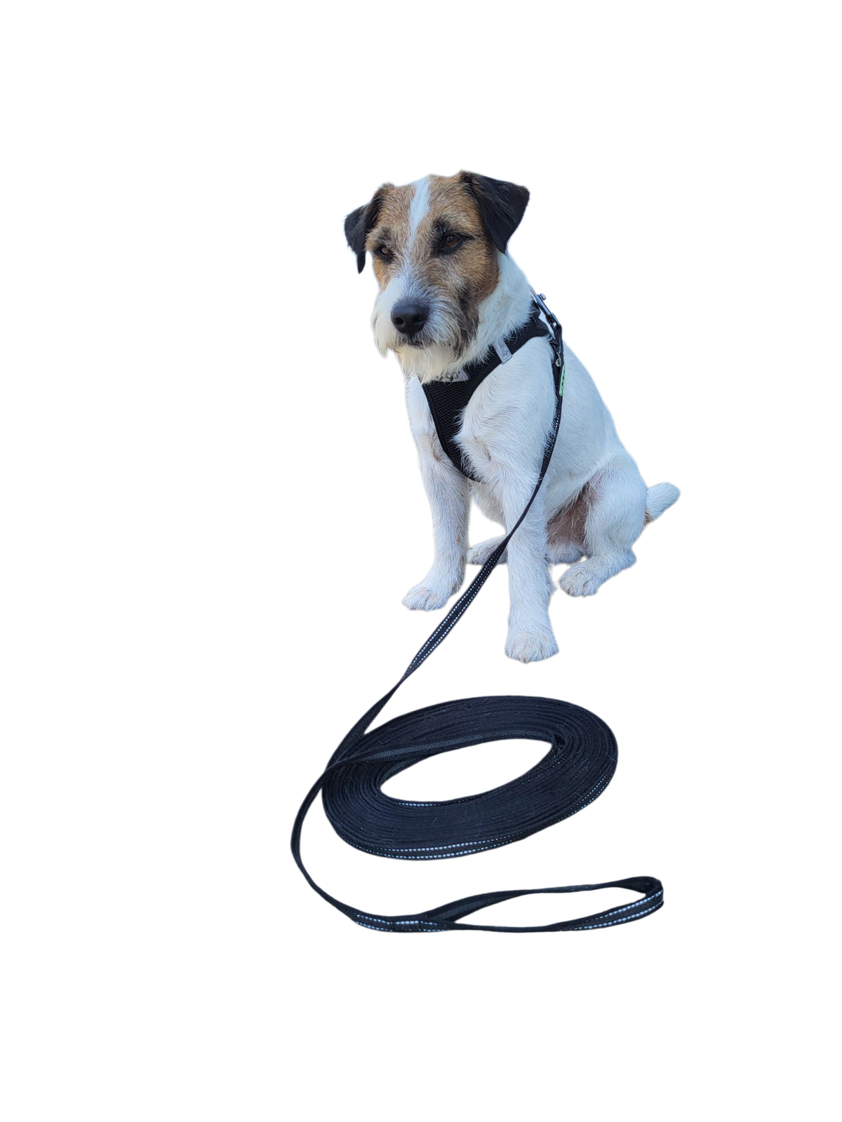 Gummierte Schleppleine 10 m