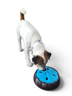 AIKIOU Slow Feeder – Intelligenzspielzeug & Futternapf