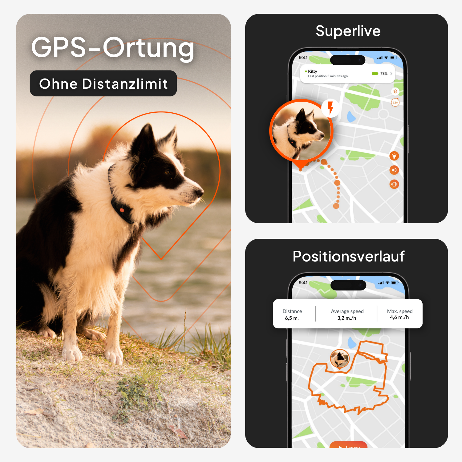 GPS Tracker für große Hunde