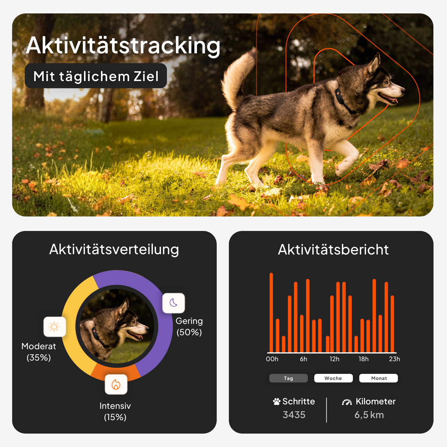 GPS Tracker für große Hunde