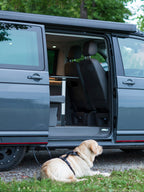 diebstahlsicheres Hundegeschirr Camper