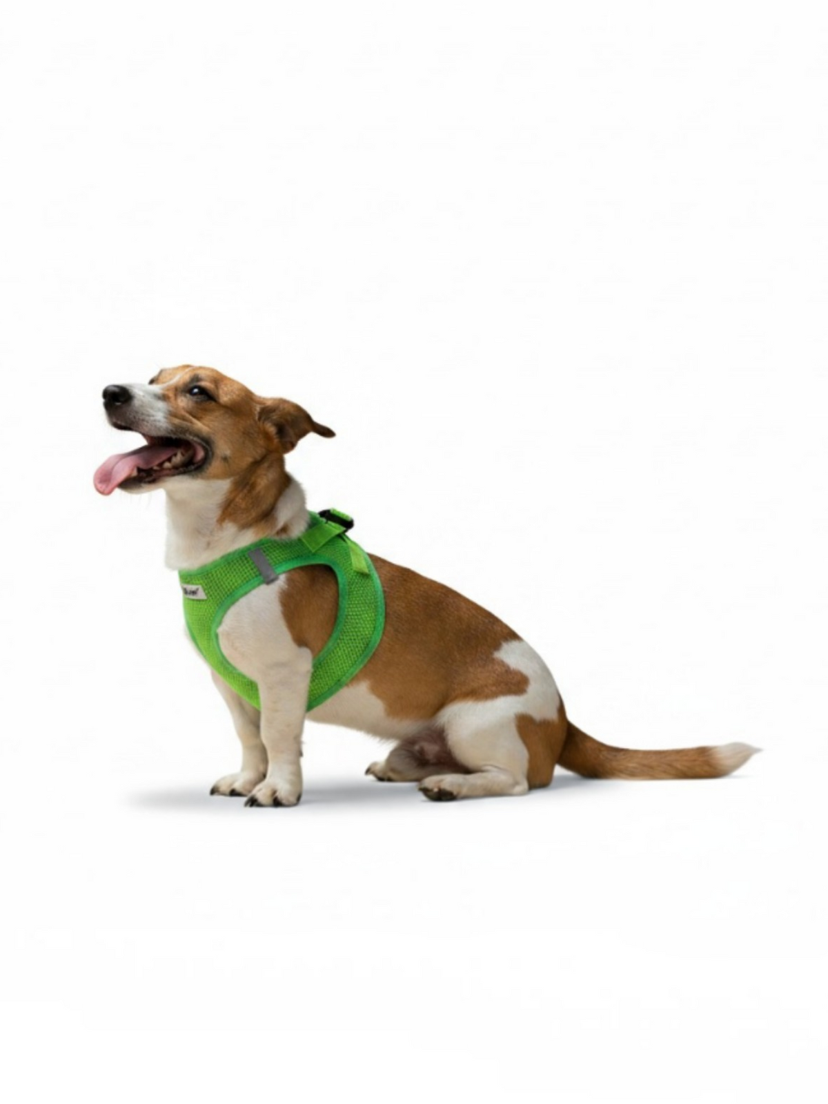 Softgeschirr für Hunde grün