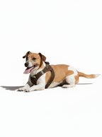 Softgeschirr für Hunde braun
