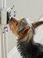 Haustierklingel für Hunde