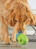 Hundespielzeug Cactus Surprise