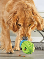Hundespielzeug Cactus Surprise