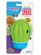 Hundespielzeug Cactus Surprise