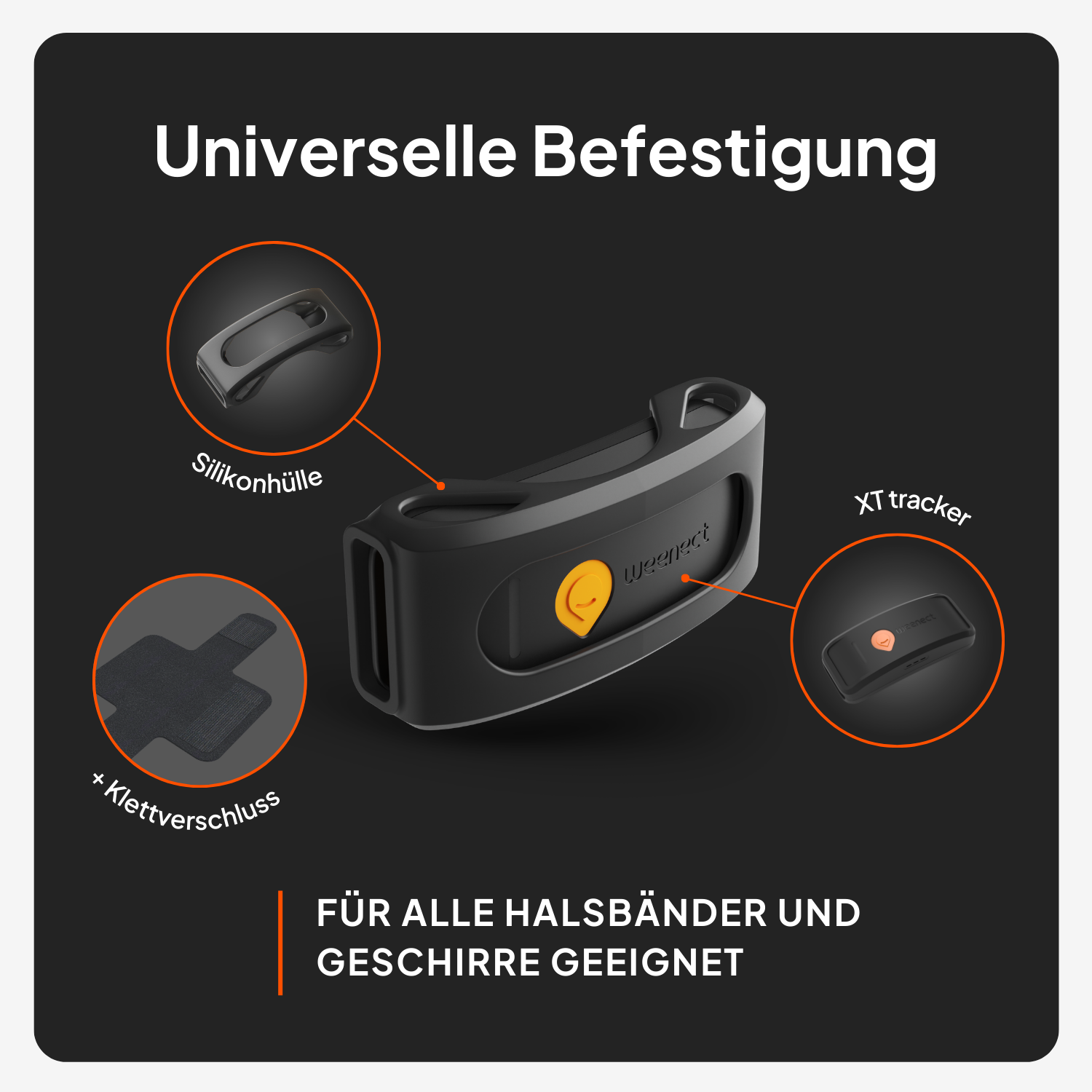GPS Tracker für große Hunde