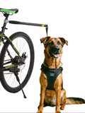 Fahrrad-Abstandshalter für Hunde