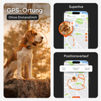 Weenect GPS für Hunde