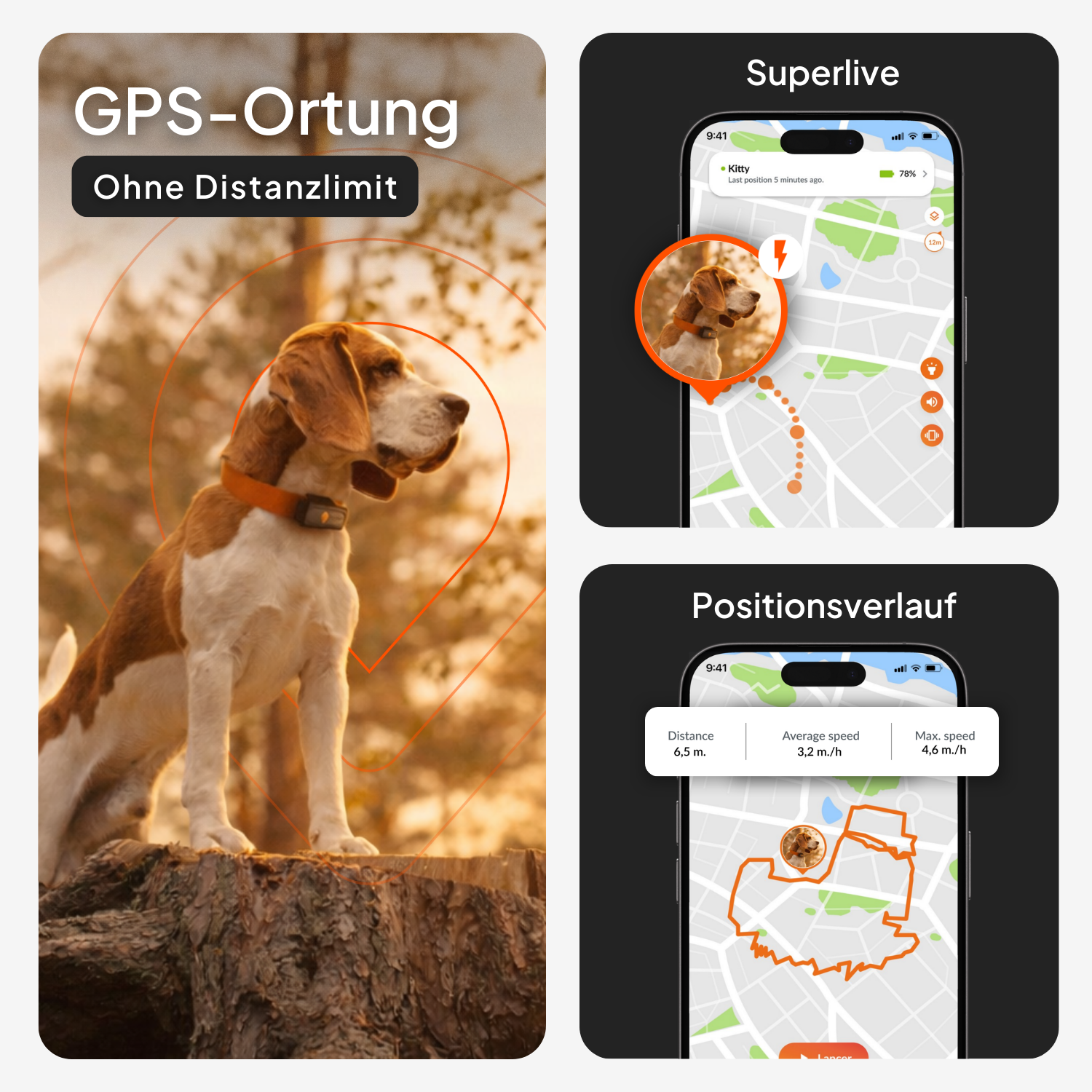 Weenect GPS für Hunde