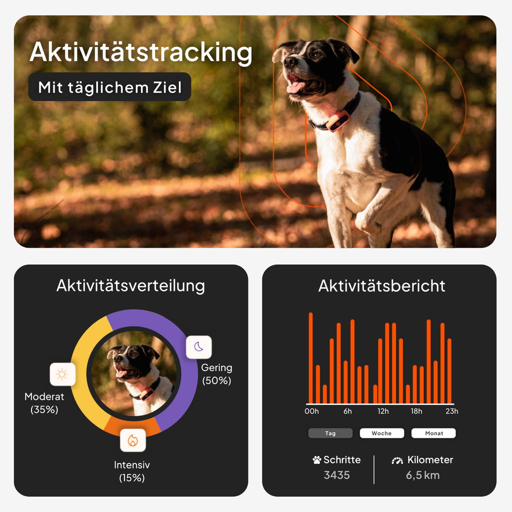 Weenect GPS für Hunde