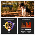 Weenect GPS für Hunde