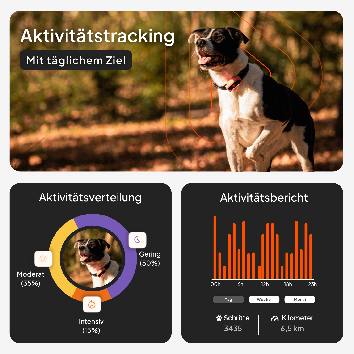 Weenect GPS für Hunde