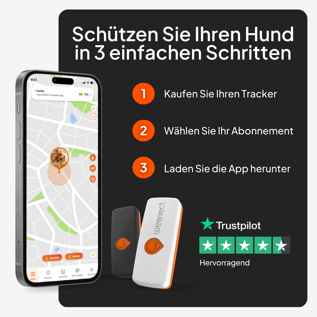 Weenect GPS für Hunde