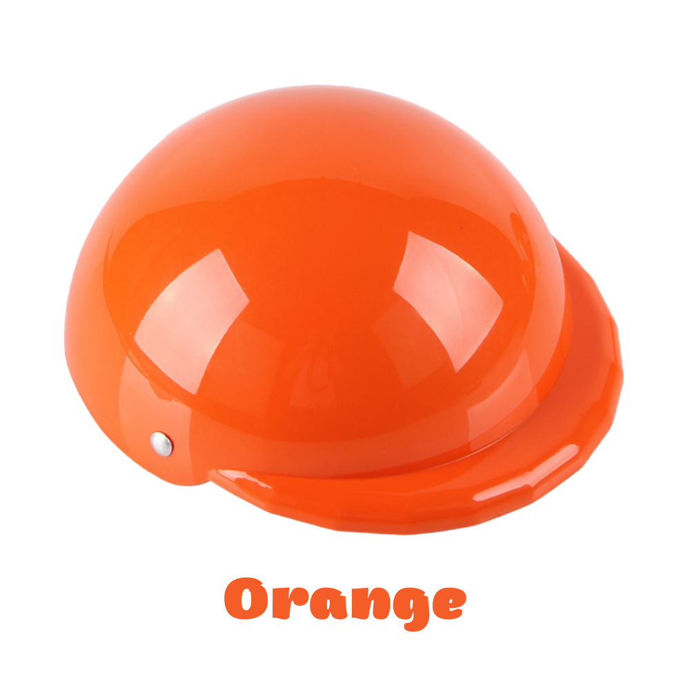 Helm für Hunde