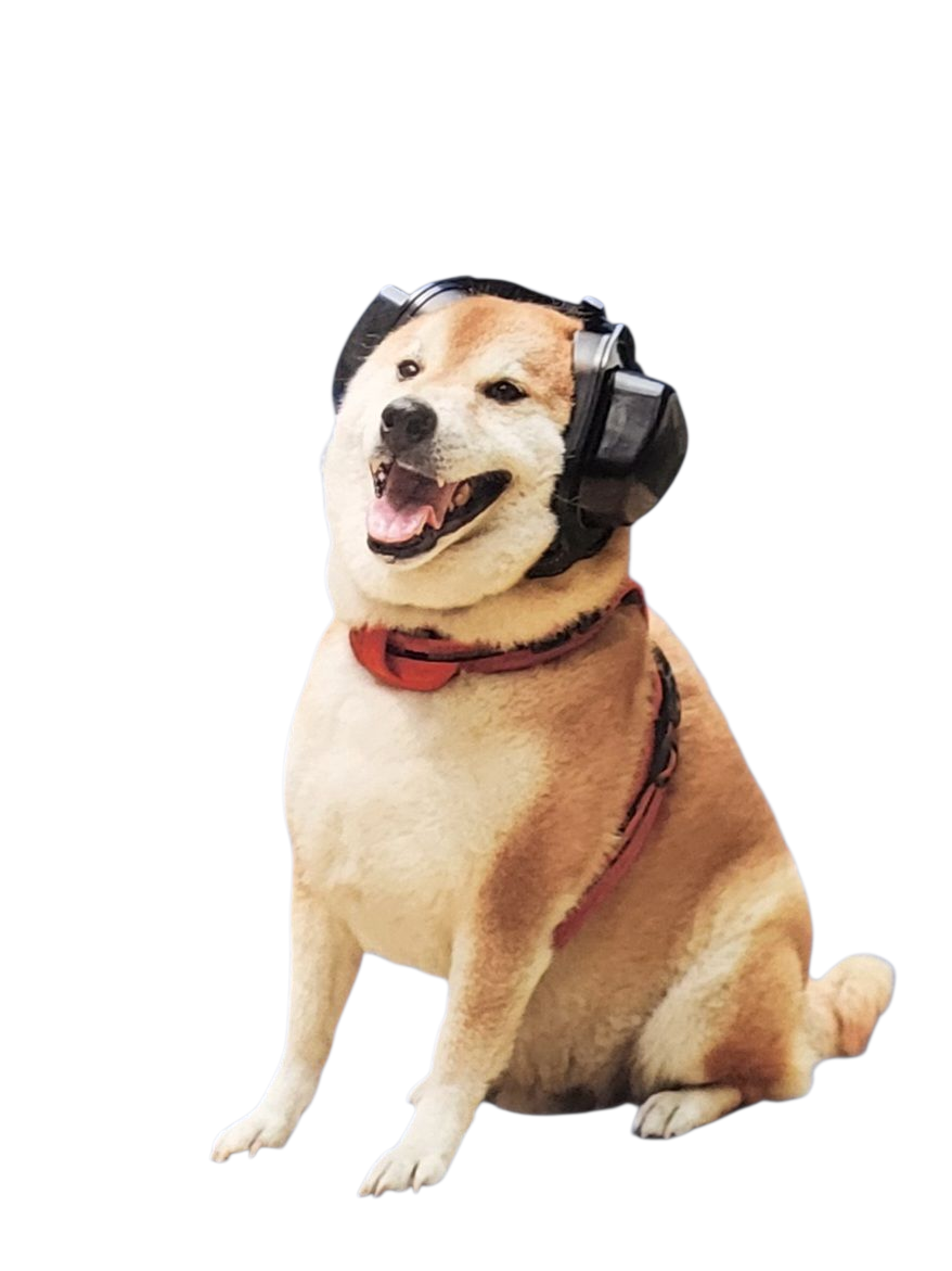 Gehörschutz für Hunde