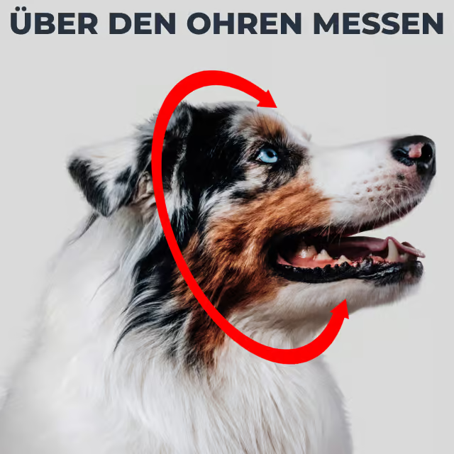 Gehörschutz für Hunde