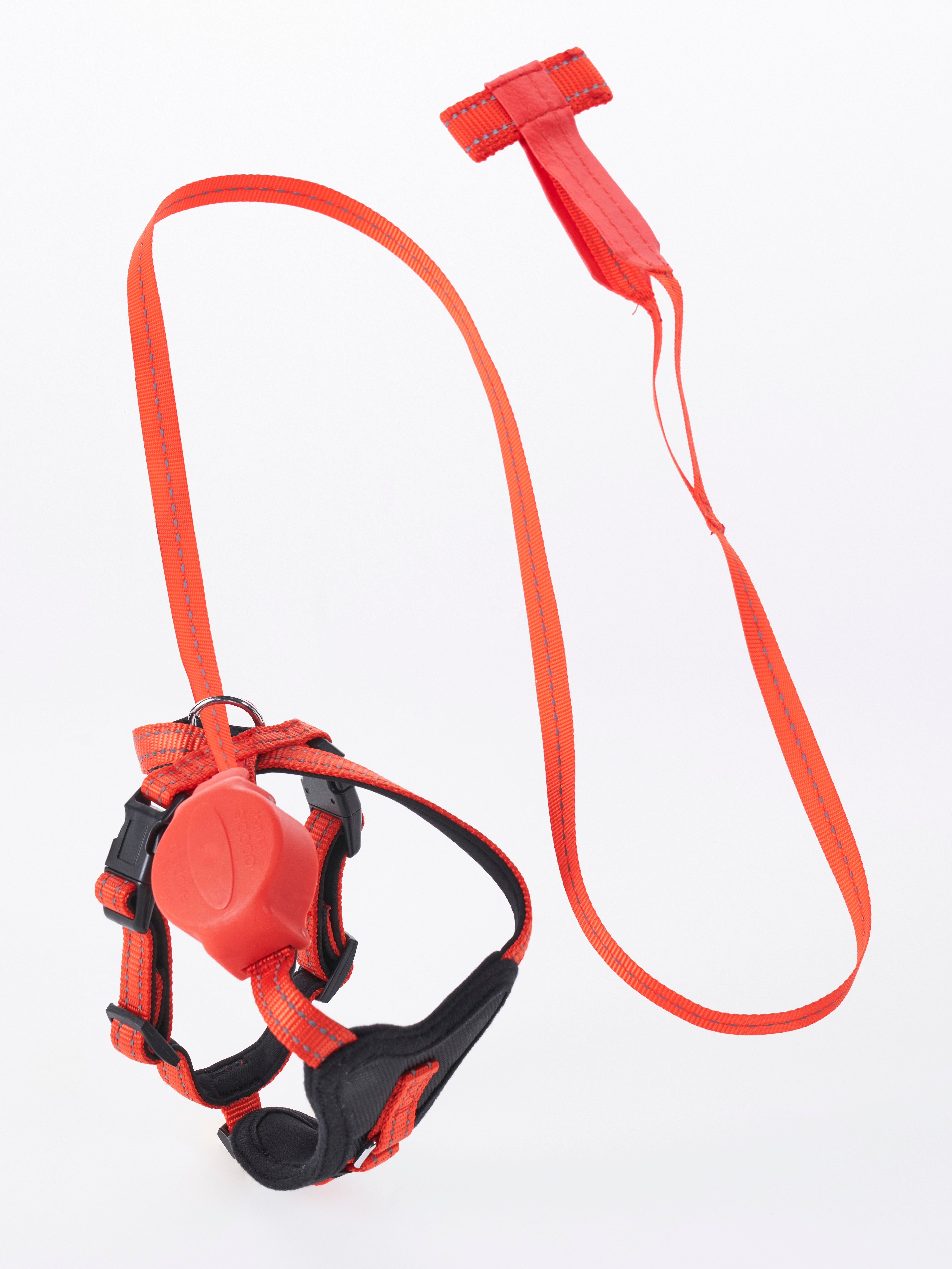 Hundegeschirr mit integrierter Leine