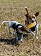 Softgeschirr für Hunde schwarz