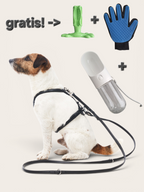 LOCKness Hundediebstahlschutz Sommer-Deal