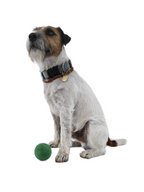 Filzball für Hunde