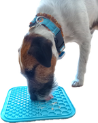 Leckmatte für Hunde & Katzen