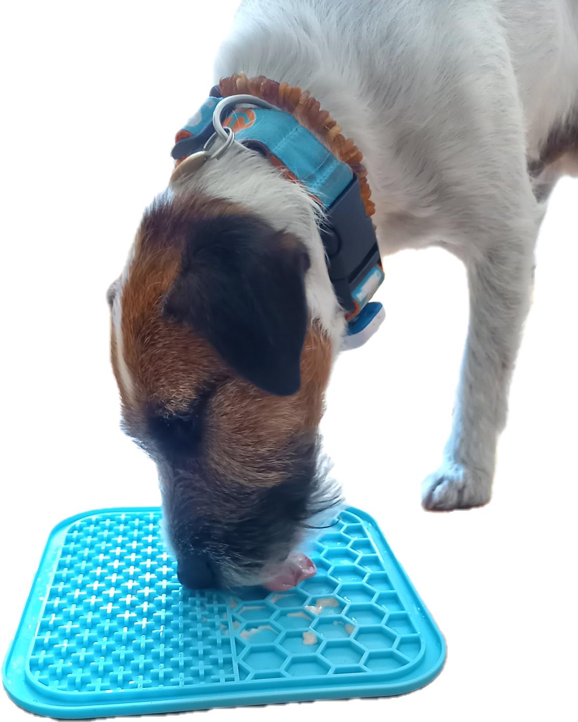 Leckmatte für Hunde & Katzen