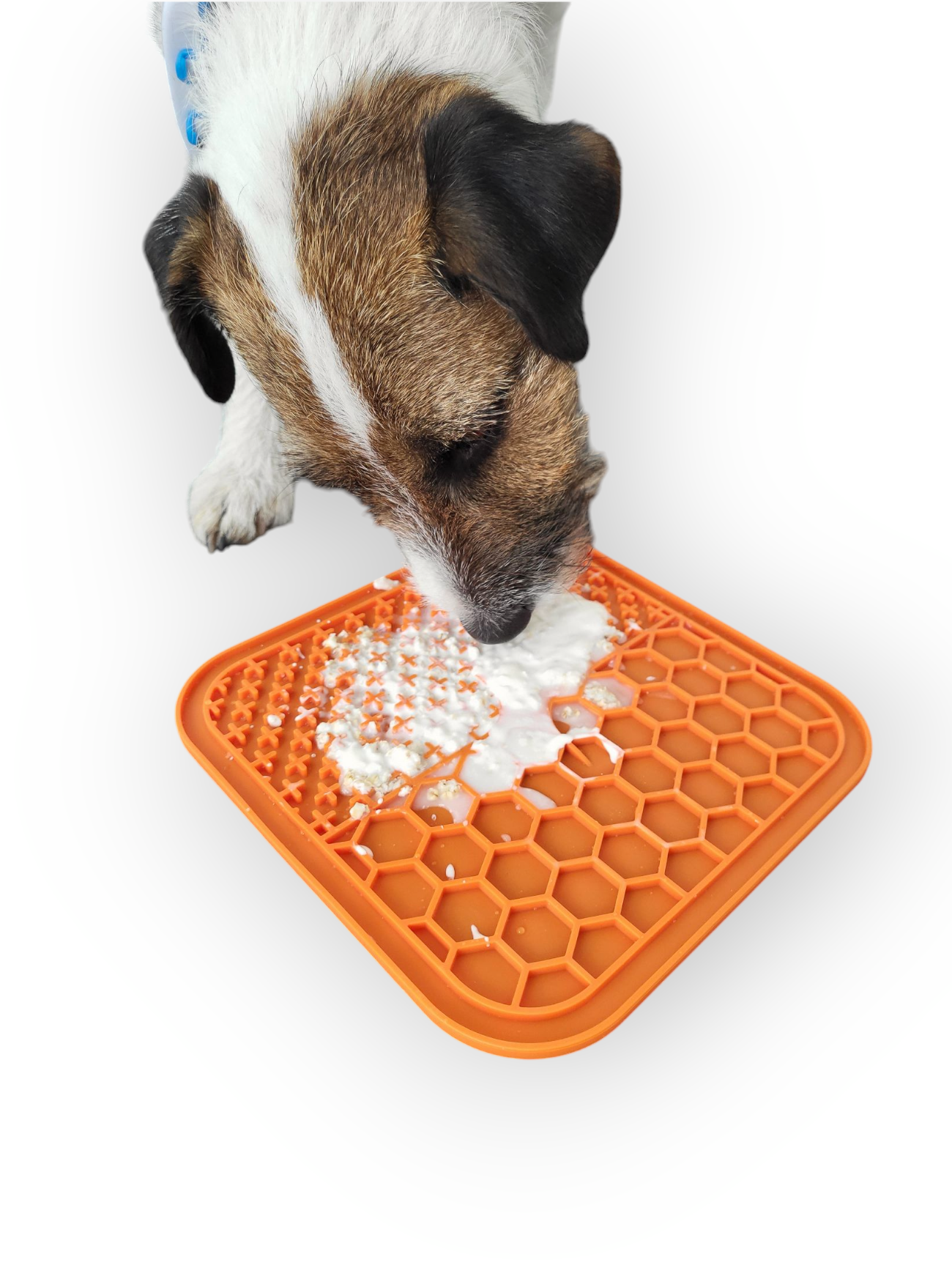 Leckmatte für Hunde & Katzen