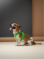 Softgeschirr für Hunde grün