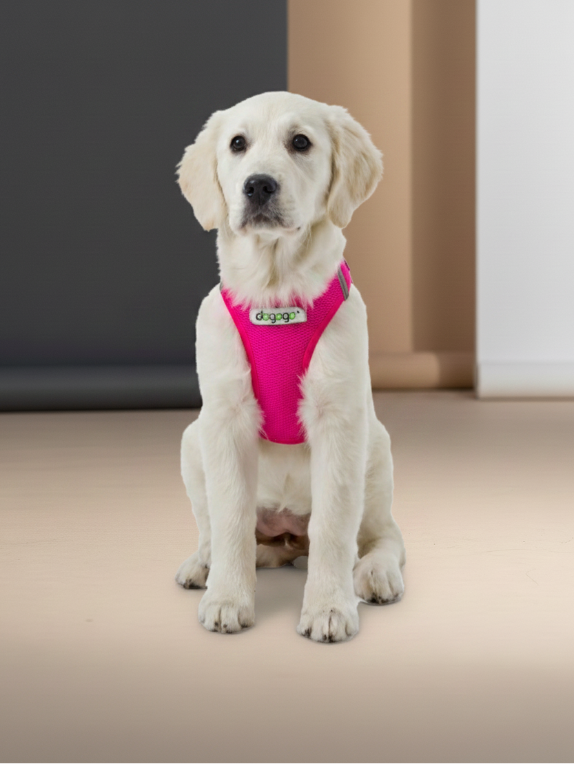 Softgeschirr für Hunde  pink