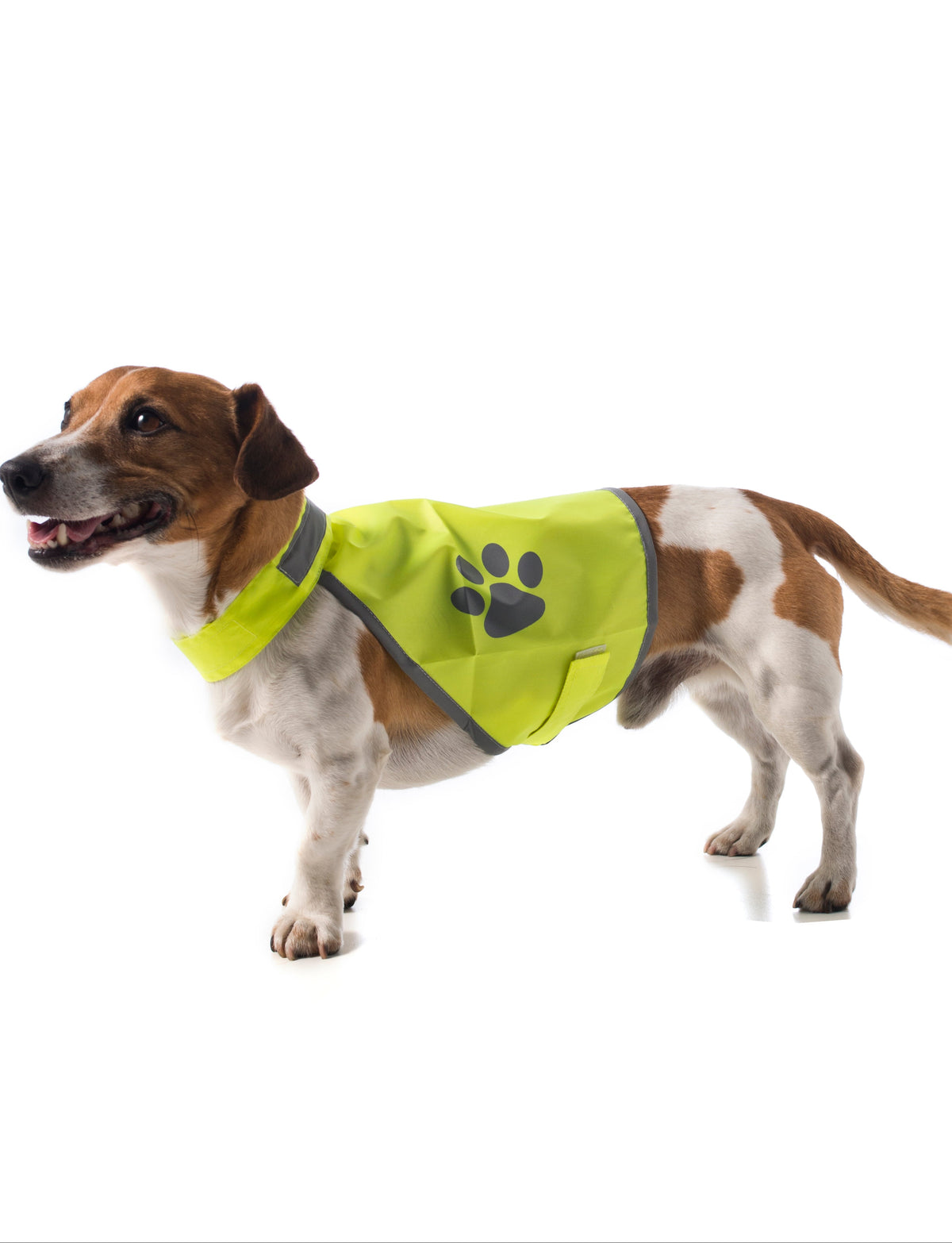 Sicherheitsweste für Hunde