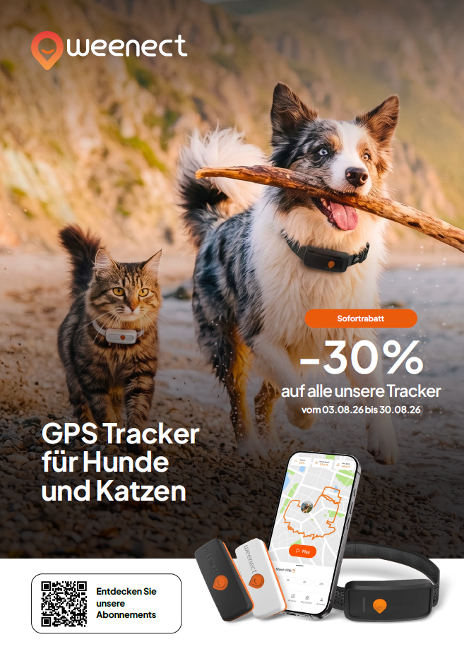 Weenect XT GPS-Tracker für große Hunde