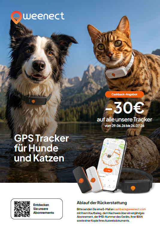 Weenect XT GPS-Tracker für große Hunde