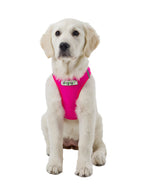 Softgeschirr für Hunde  pink