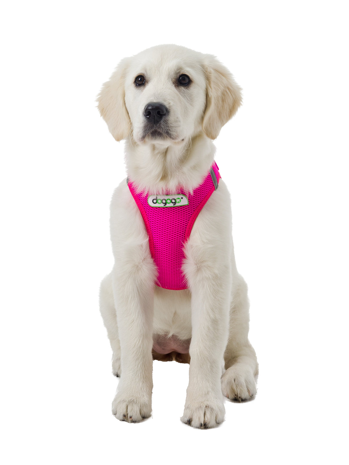Softgeschirr für Hunde  pink