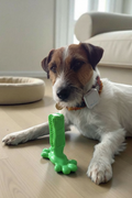 Zahnpflege-Spielzeug für Hunde