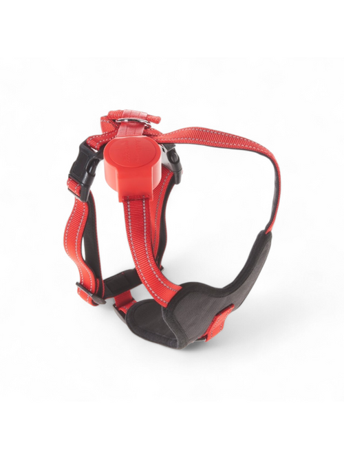 doddle for dogs Hundegeschirr L