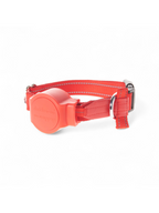 doddle for dogs Halsband rot L