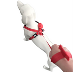 Hundegeschirr mit integrierter Leine groß
