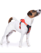 Hundegeschirr mit integrierter Leine