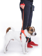 Hundegeschirr mit integrierter Leine