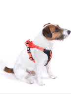 Hundegeschirr mit integrierter Leine