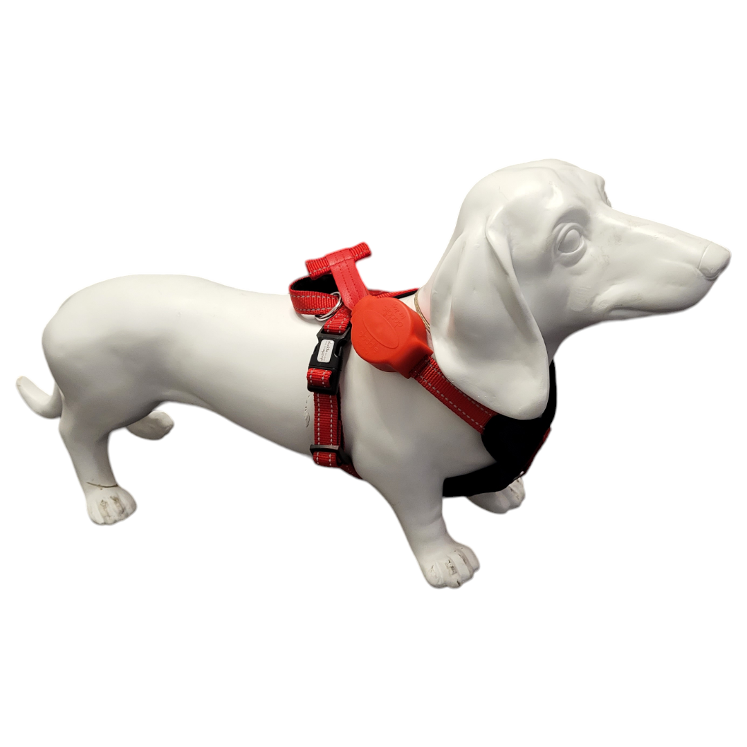 Hundegeschirr mit integrierter Leine