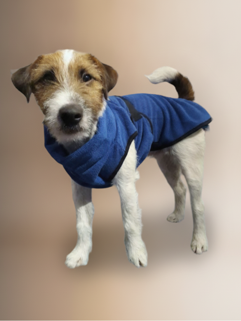 Hundebademantel